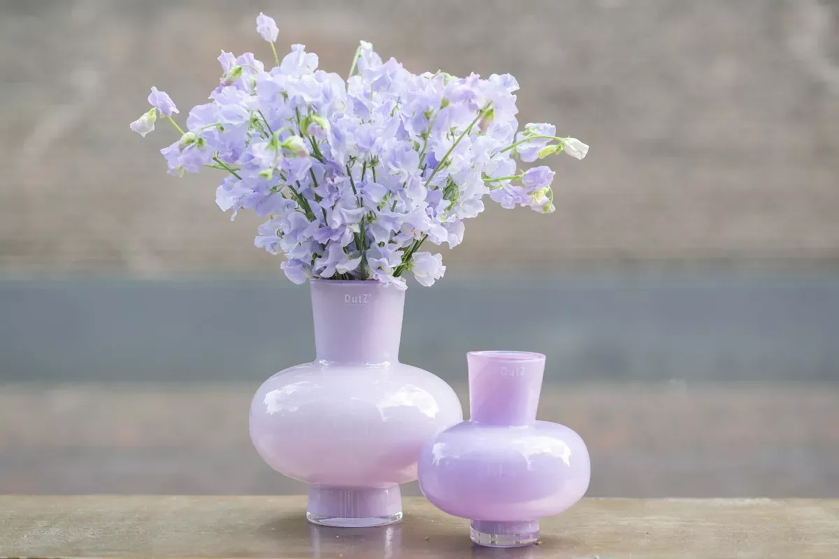 Dutz Vase “Modest” H20 D18 “Lila” – Bild 2