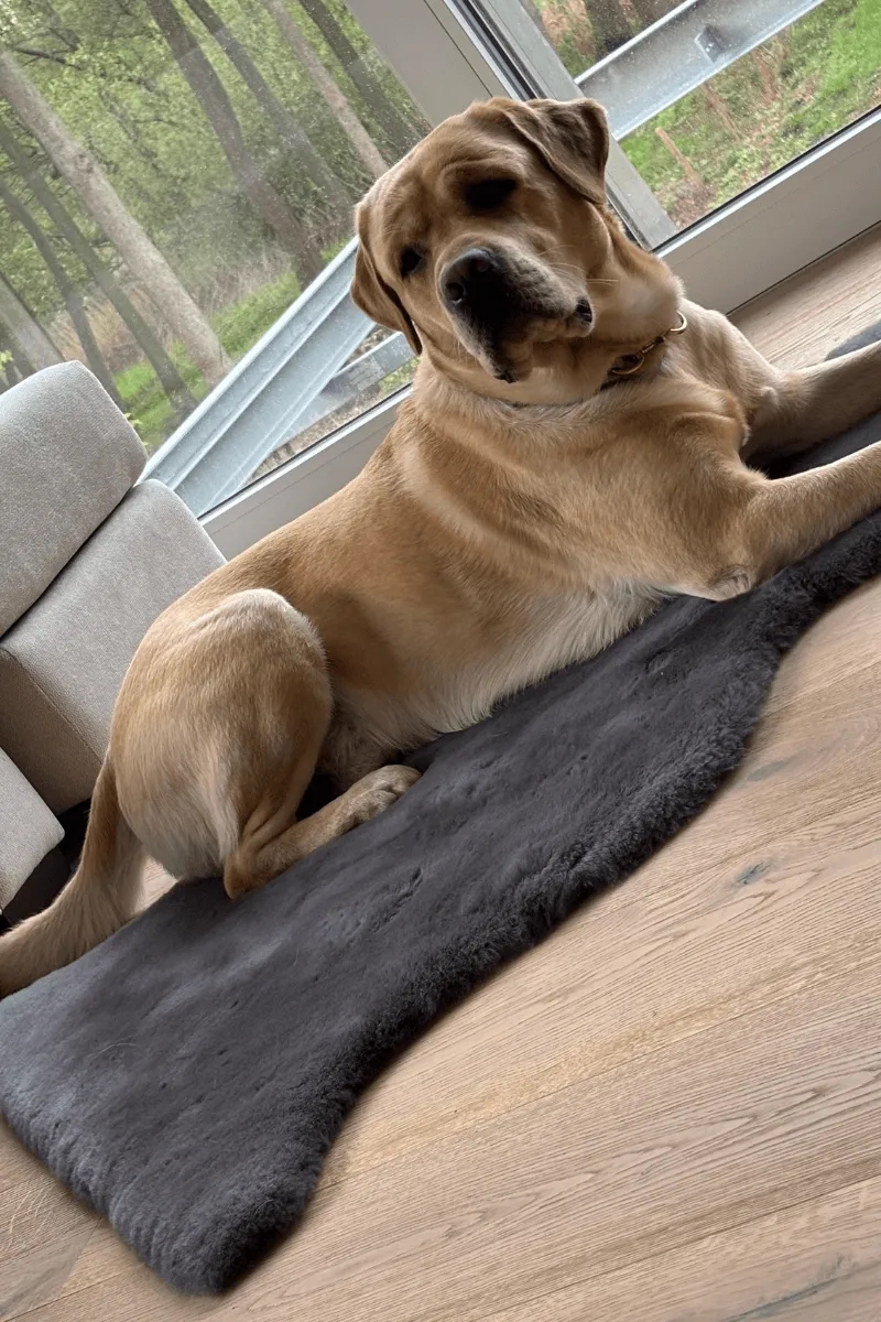 Liegedecke für Hunde aus Merinofell – Bild 2