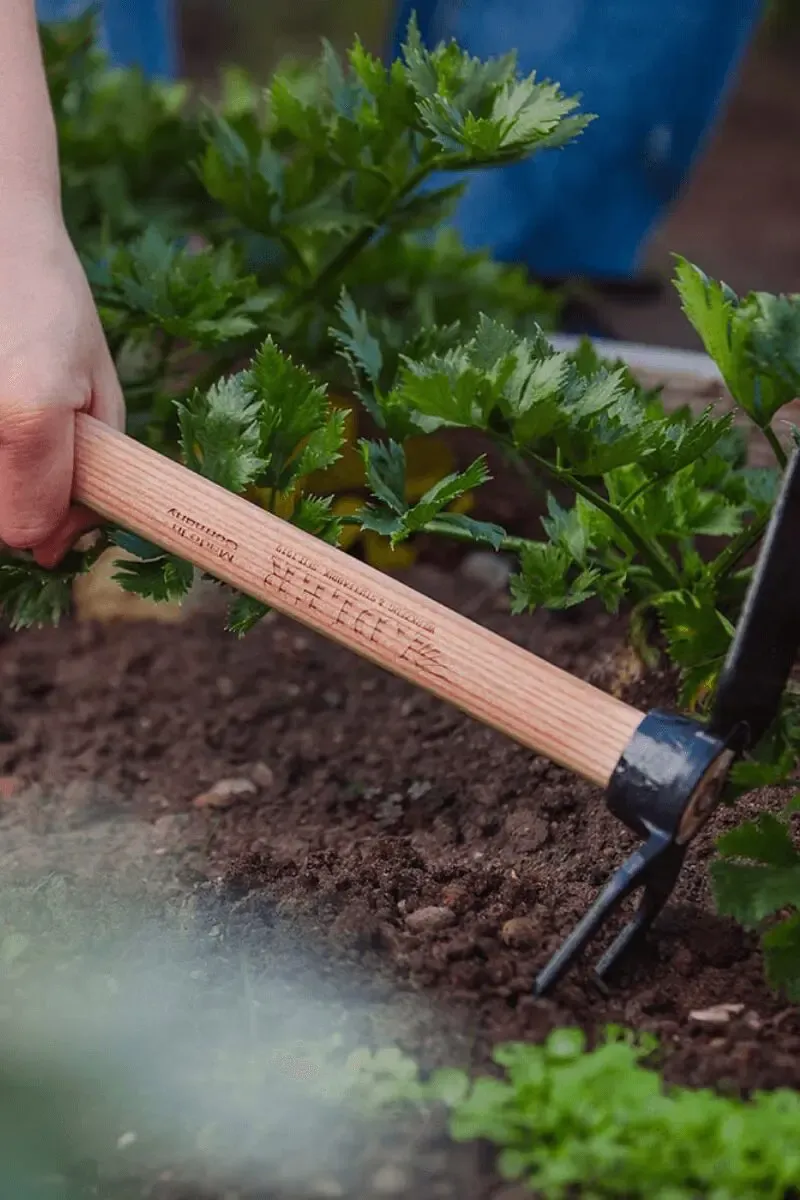 vielseitige Gartenhacke Lily