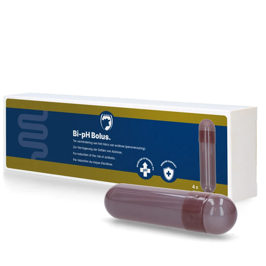 Bi-pH Bolus (Bikarbonat Bolus)
