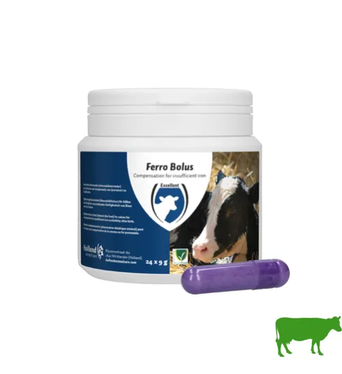 Ferro Bolus – Zum Aufbau des Eisenbestandes