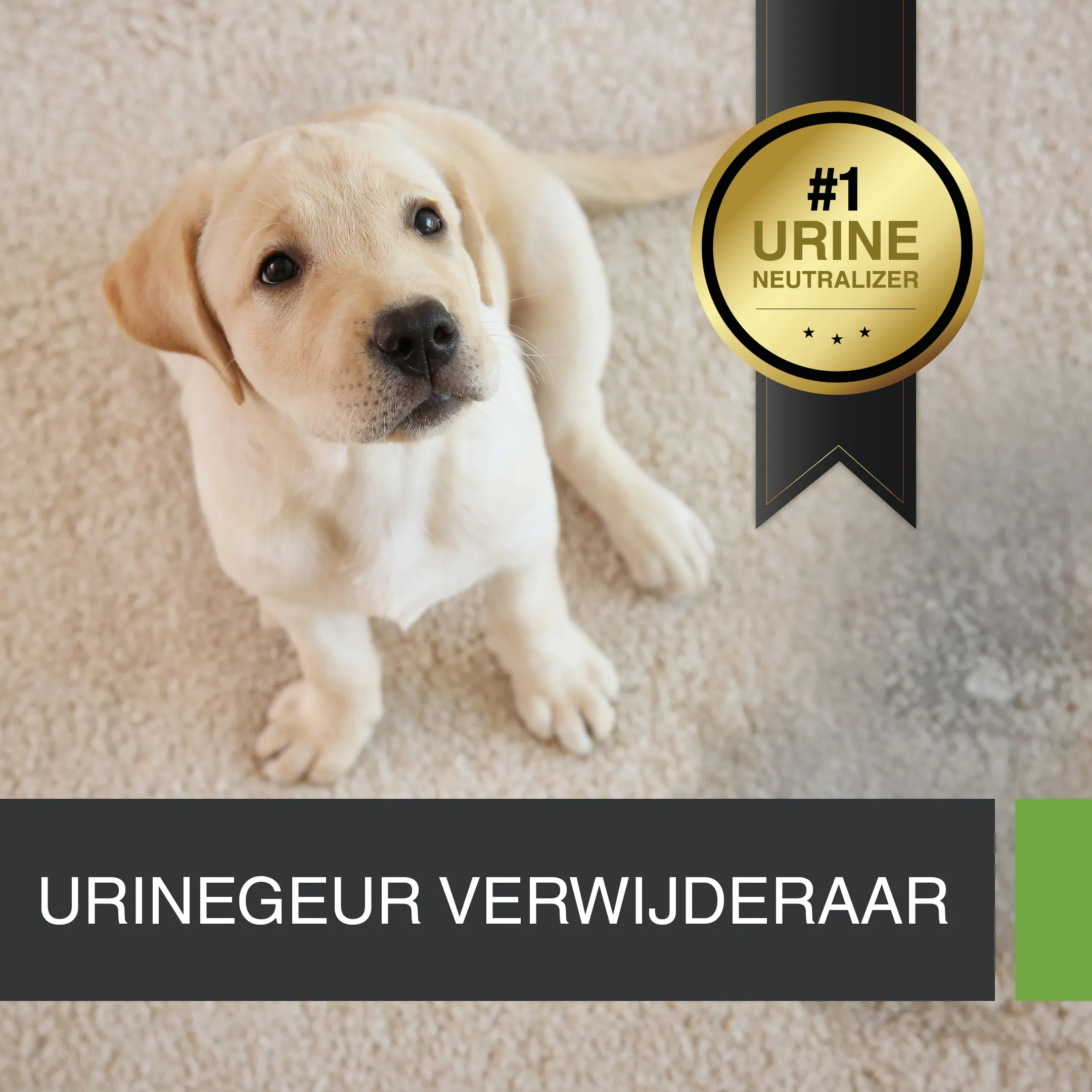UF2000 4Pets – 5 Liter Nachfüll – Bild 8