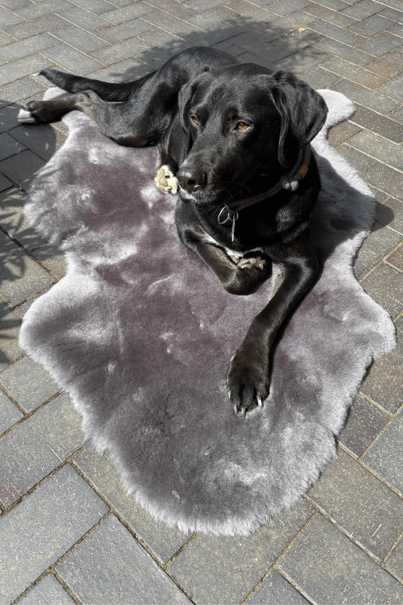 Liegedecke für Hunde aus Merinofell