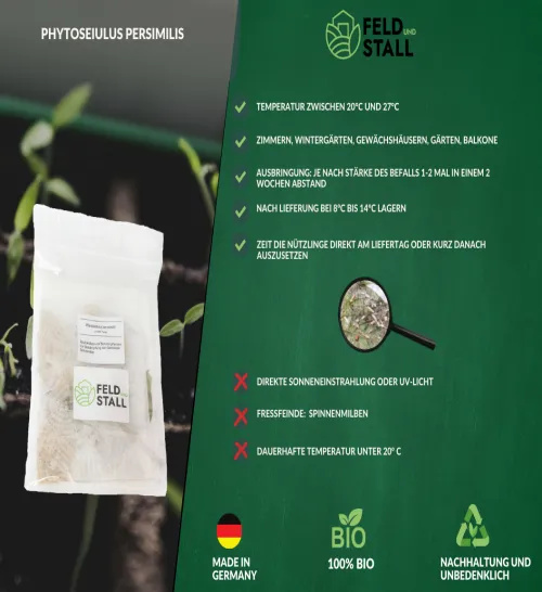 Phytoseiulus-Raubmilben – 1000Stück – Bild 4