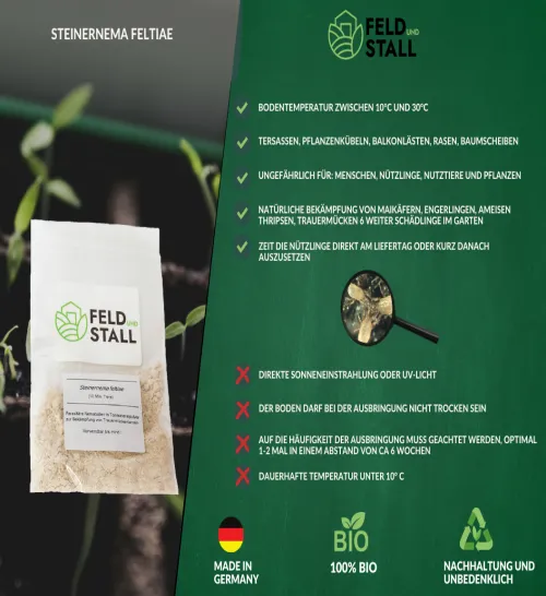 Steinernema Nematoden , 10 Mio. – 50 Mio. – Bild 4